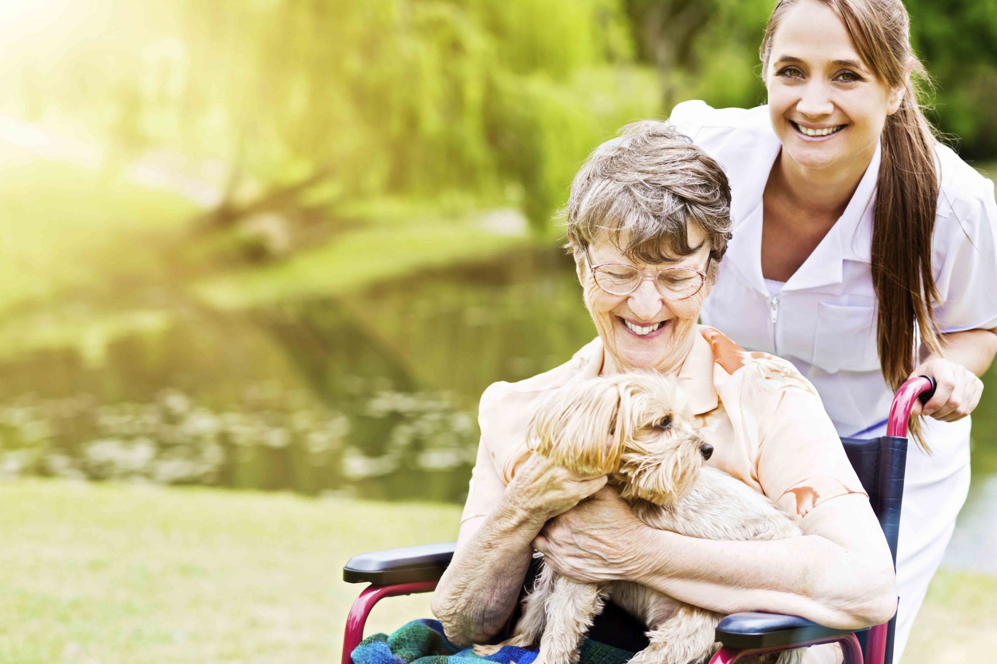 A senior woman holding a small dog on her lap while being pushed in a wheelchair.