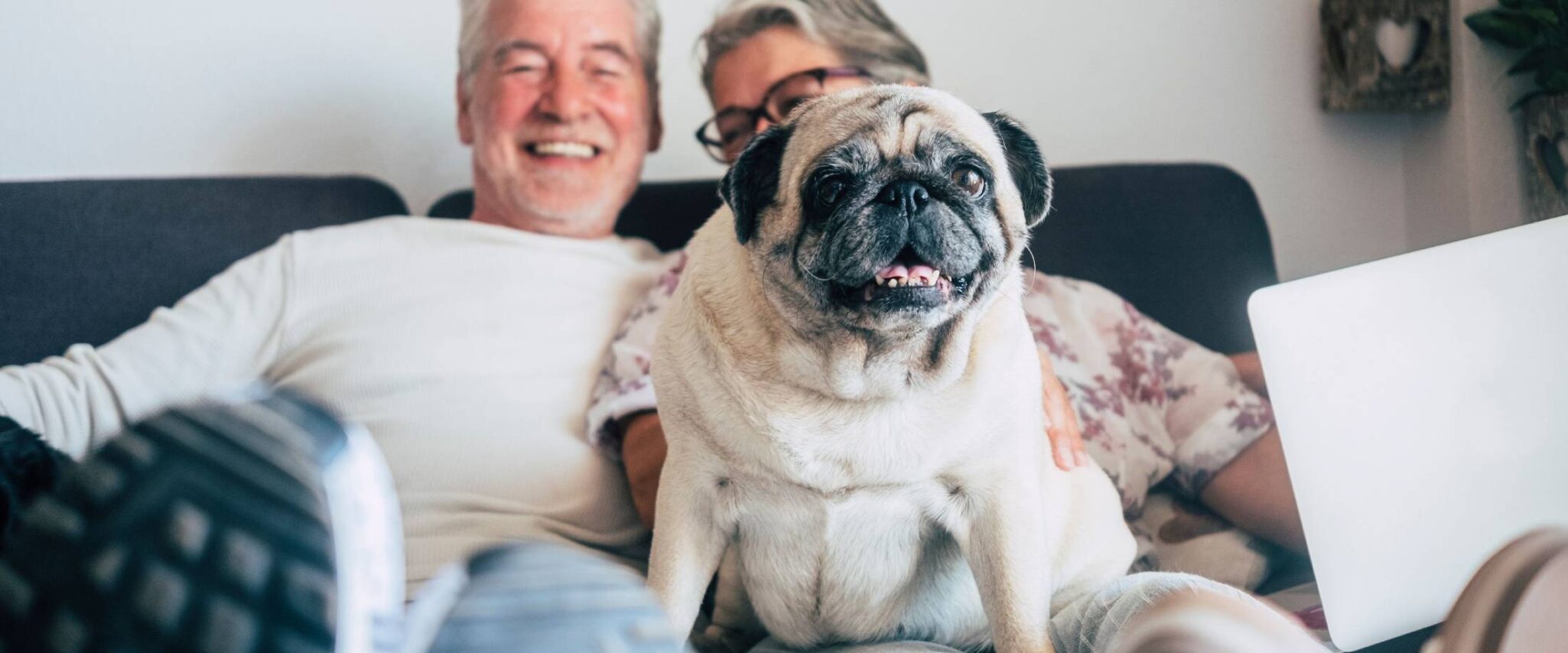 happy seniors sitting on the couch with their pug