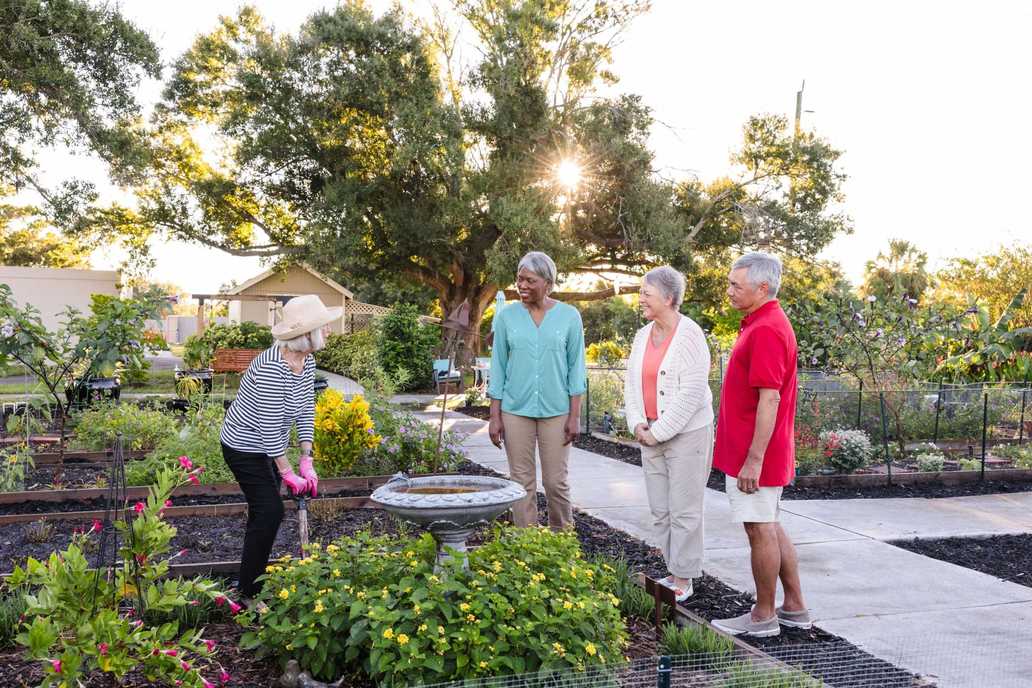 Group of residents gardening